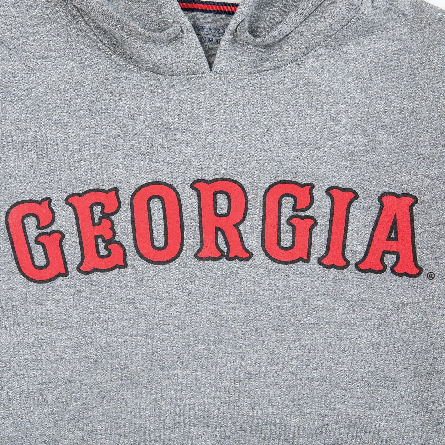 Georgia Vintage Hoodie - Onward Reserve
